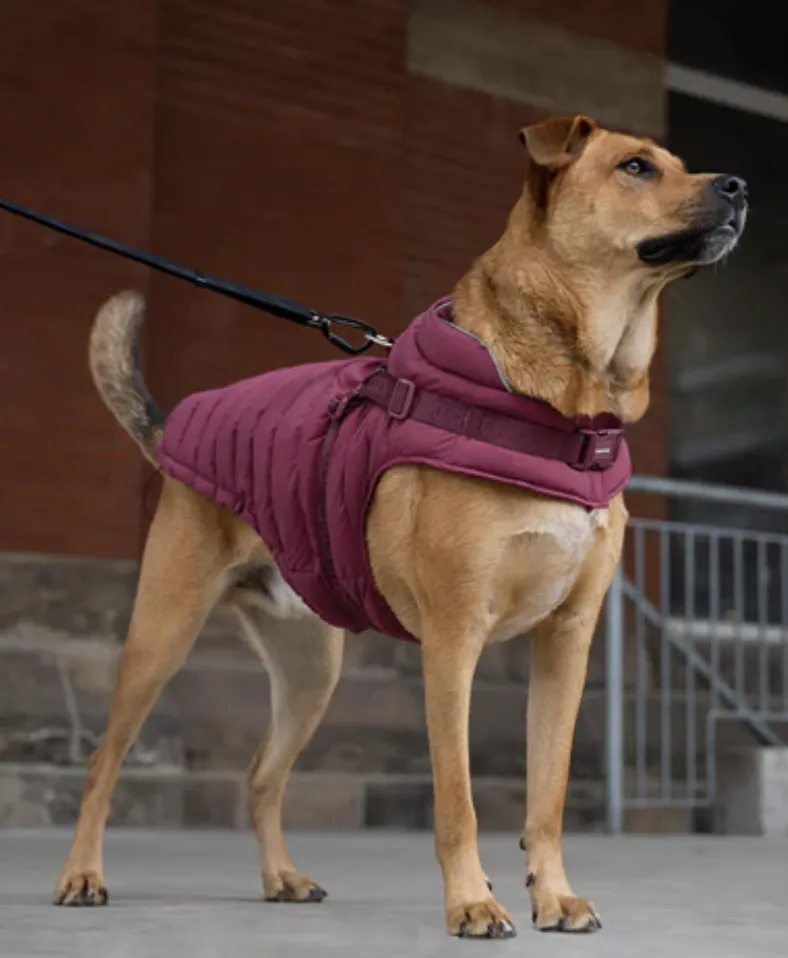 Canada Pooch Harness Puffer Plum